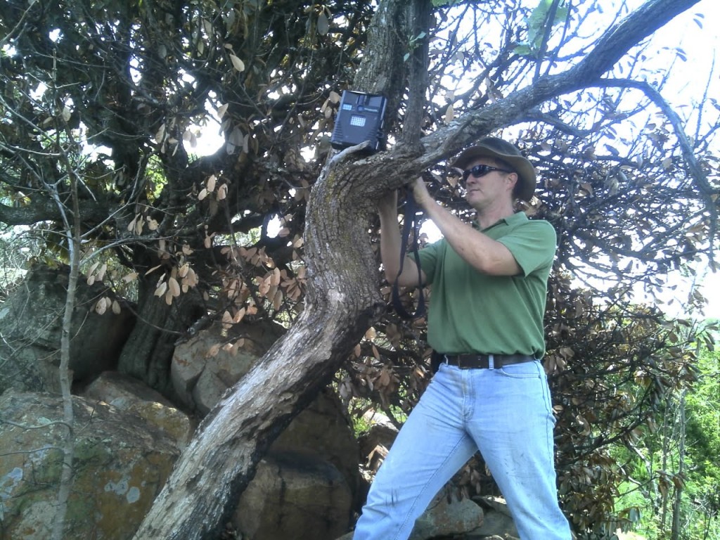 Fauna Surveys Camera Setup