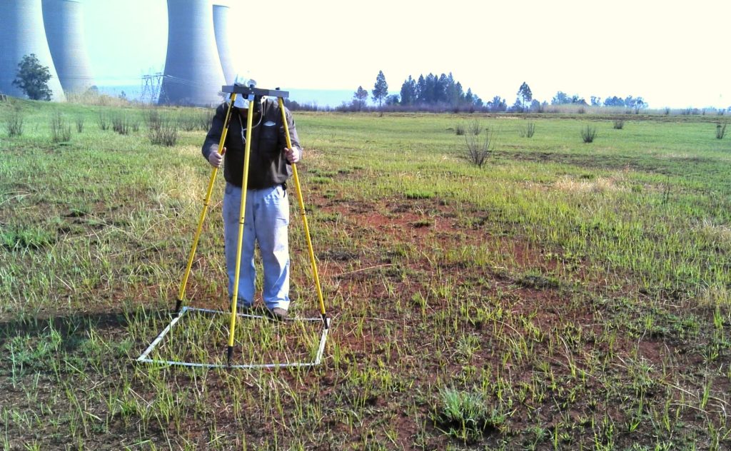 Flora Surveys Mapping