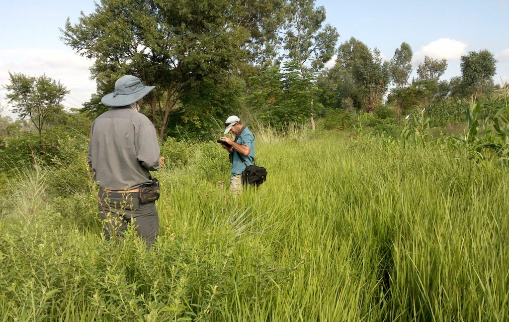 Flora Surveys Monitoring
