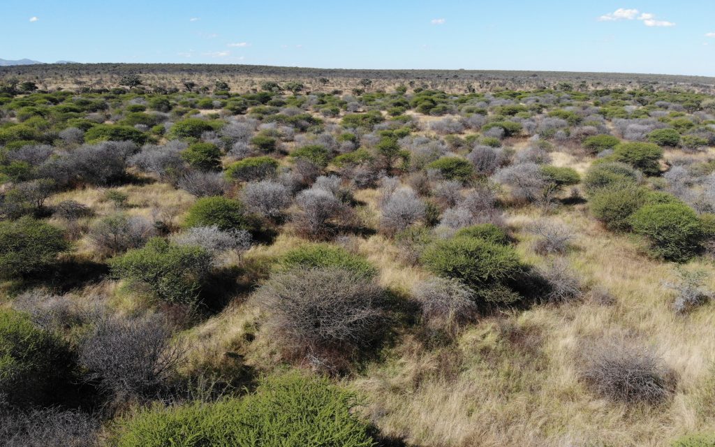 Flora Surveys Landscape