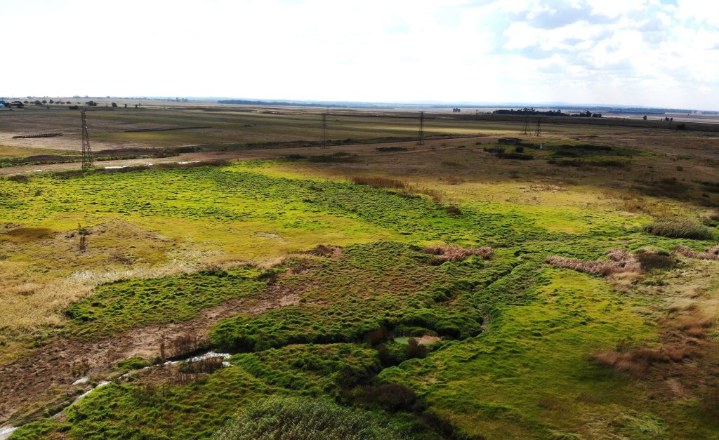 Natural Resources Wetland