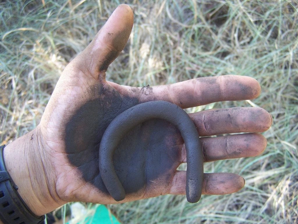 EkoInfo_Soil Surveys