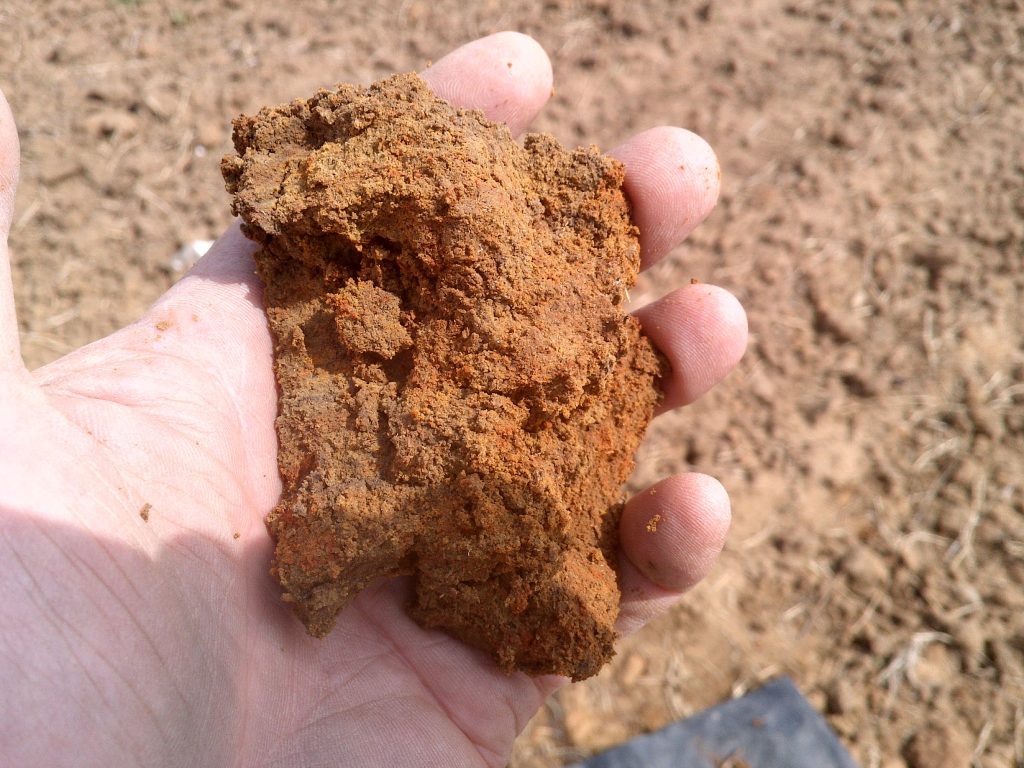 Soil Surveys Consistency