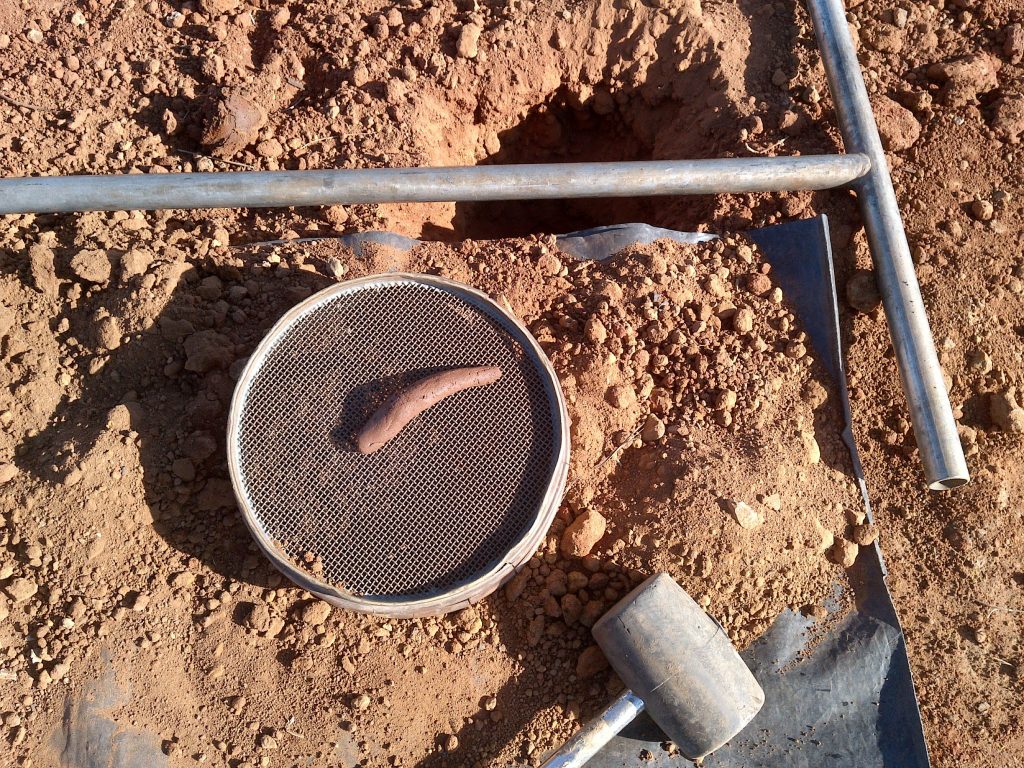 Soil Surveys Testing